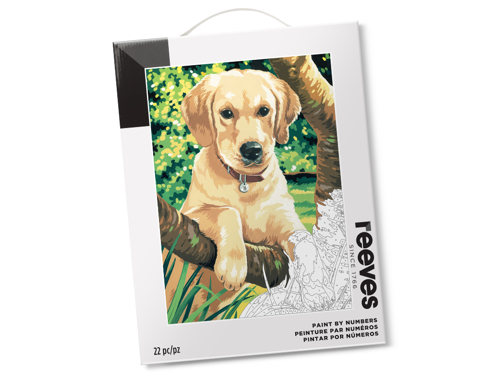 Maalimine numbrite järgi Reeves 30x40cm labrador