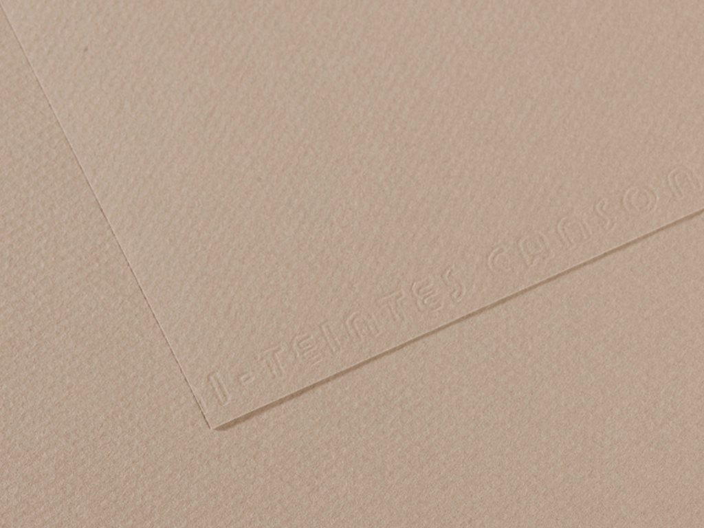 Grainy paper MiTeintes 160g A4 122 flannel