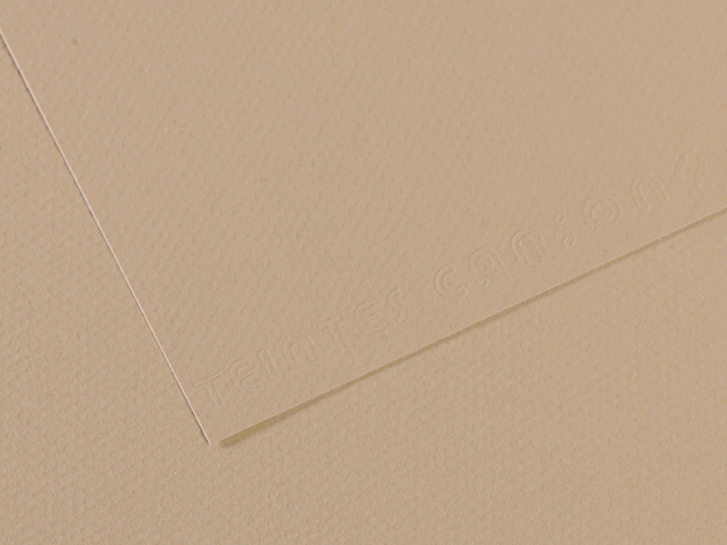 Grainy paper MiTeintes 160g A4 343 pearl